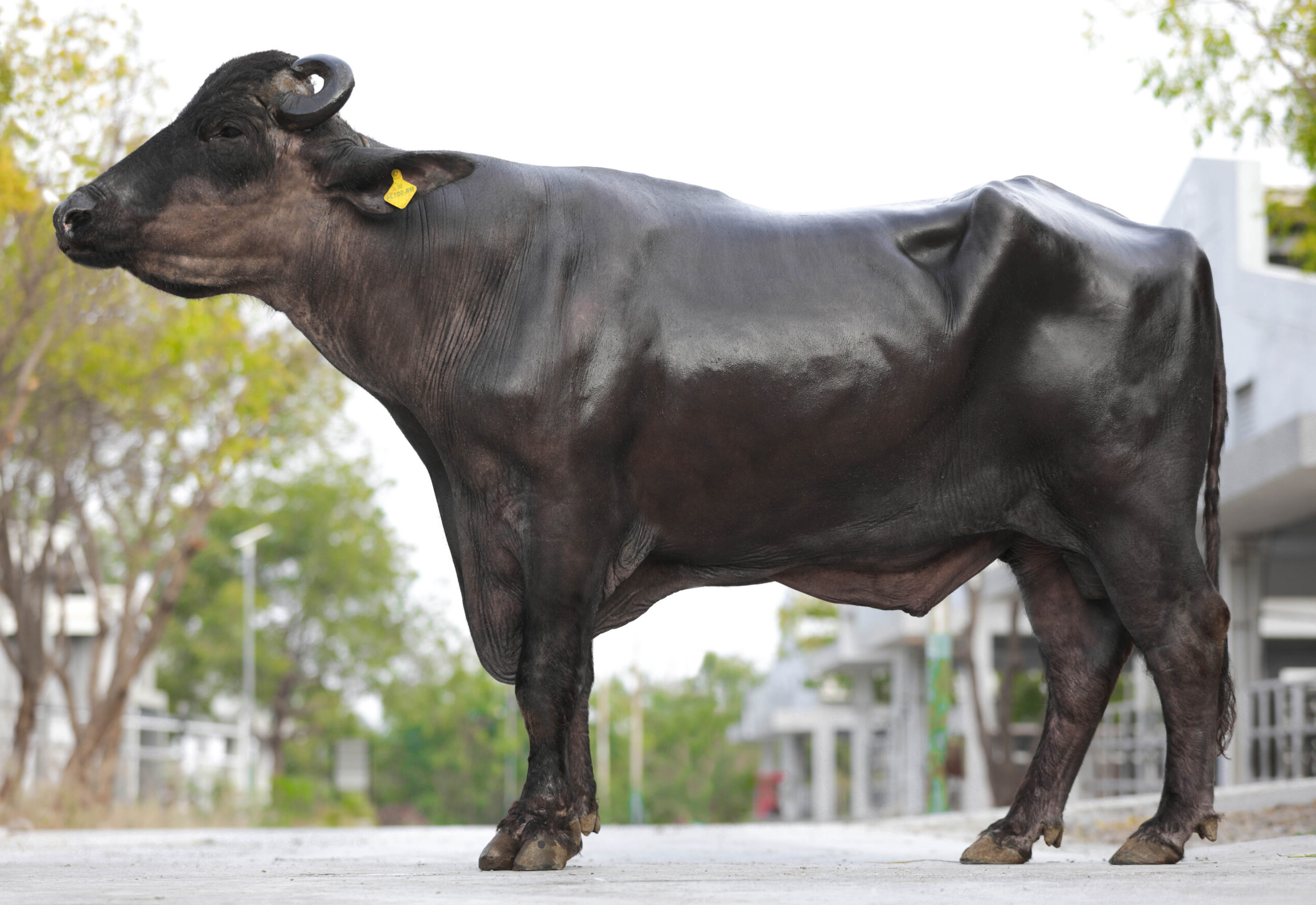 MR-50134