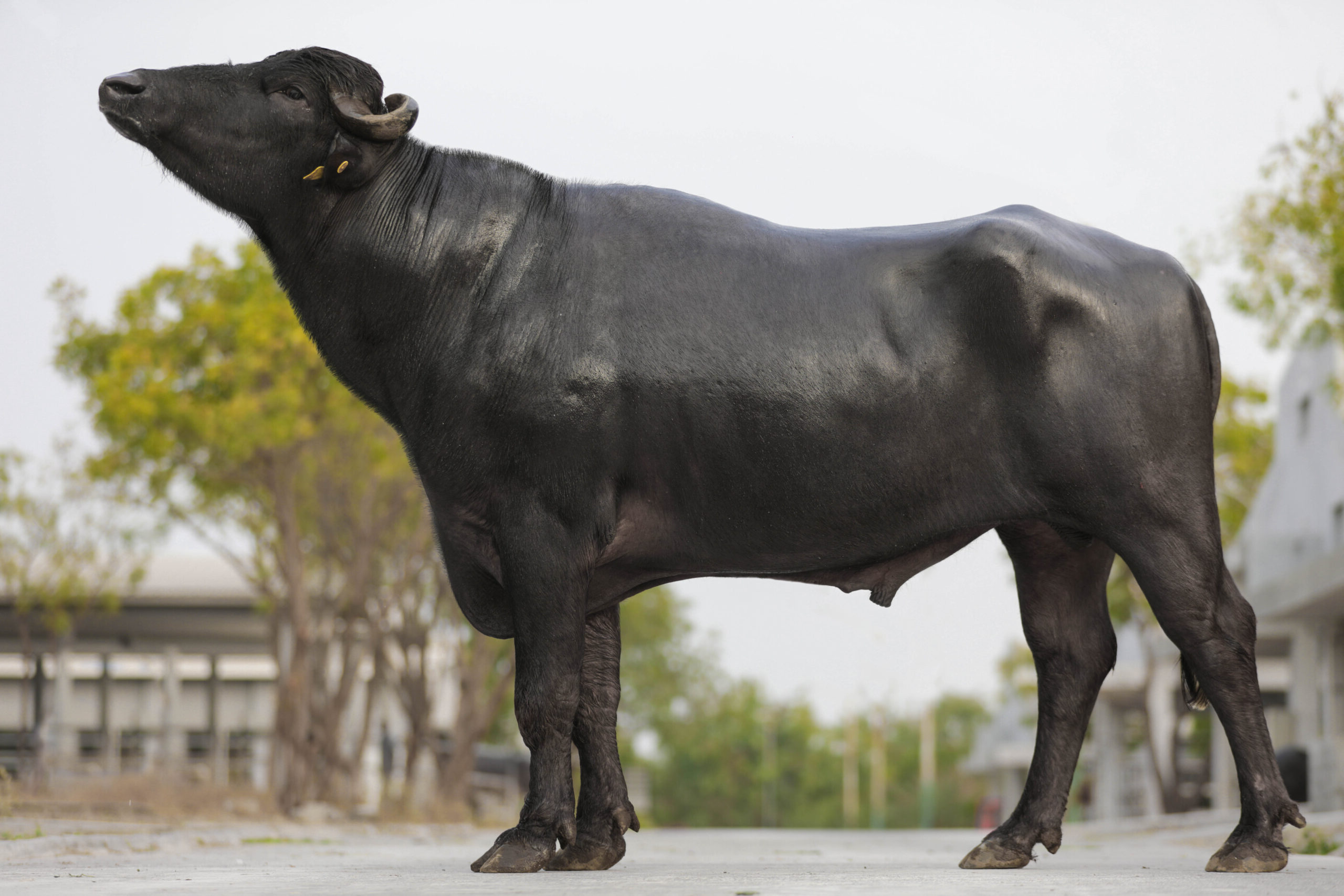 MR-50340