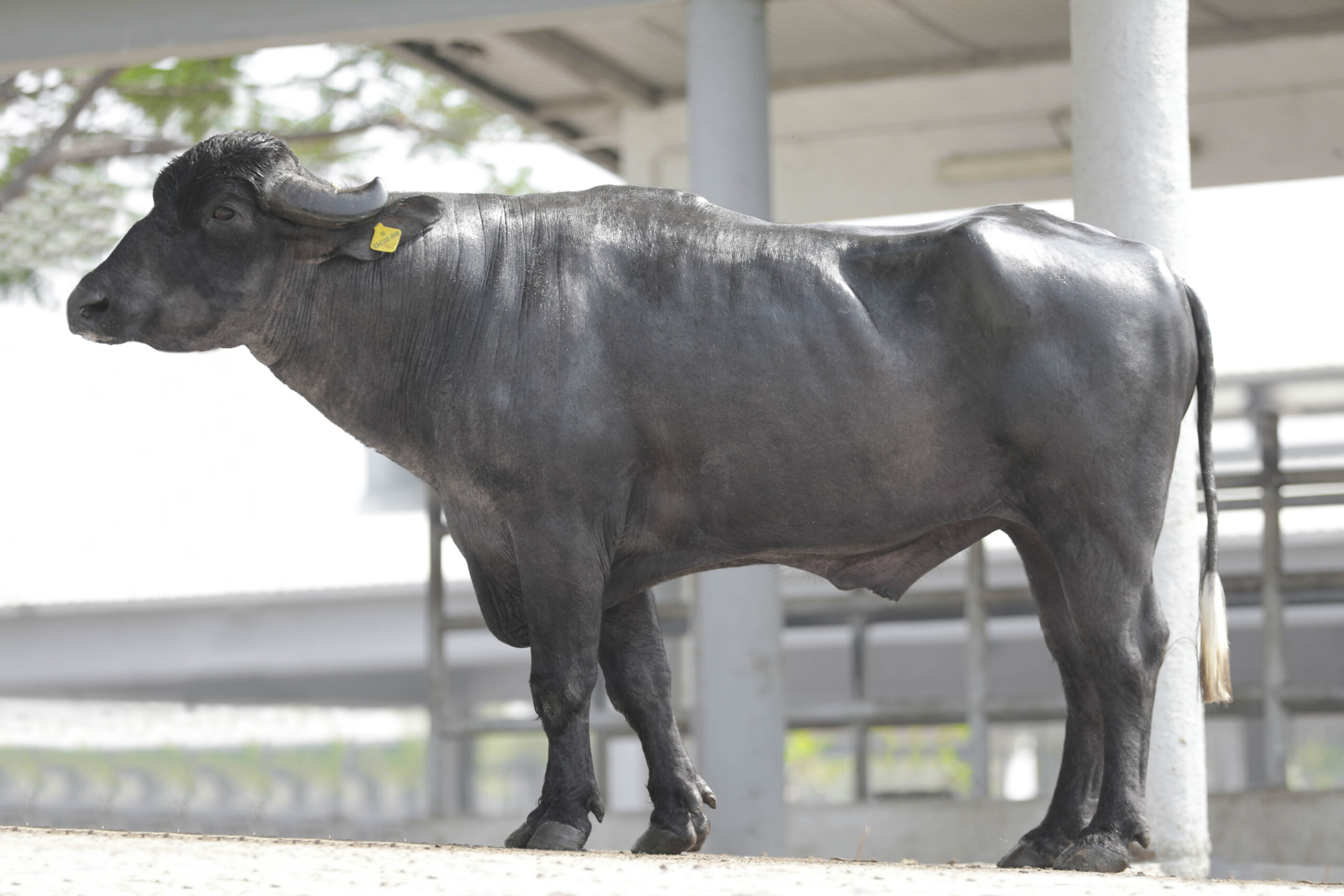 MR-50342