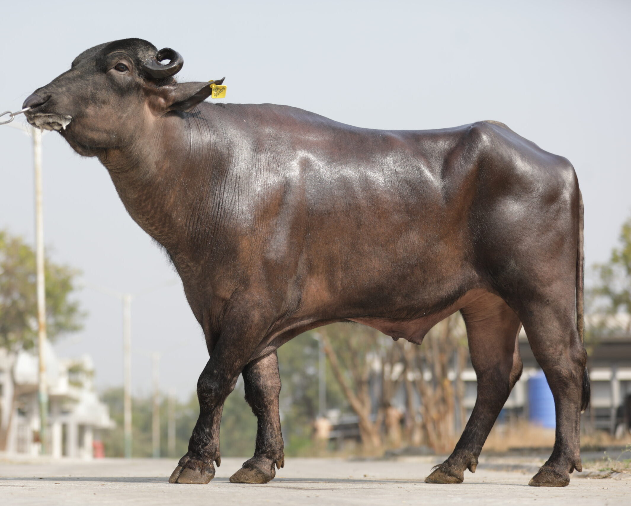 MR-50405