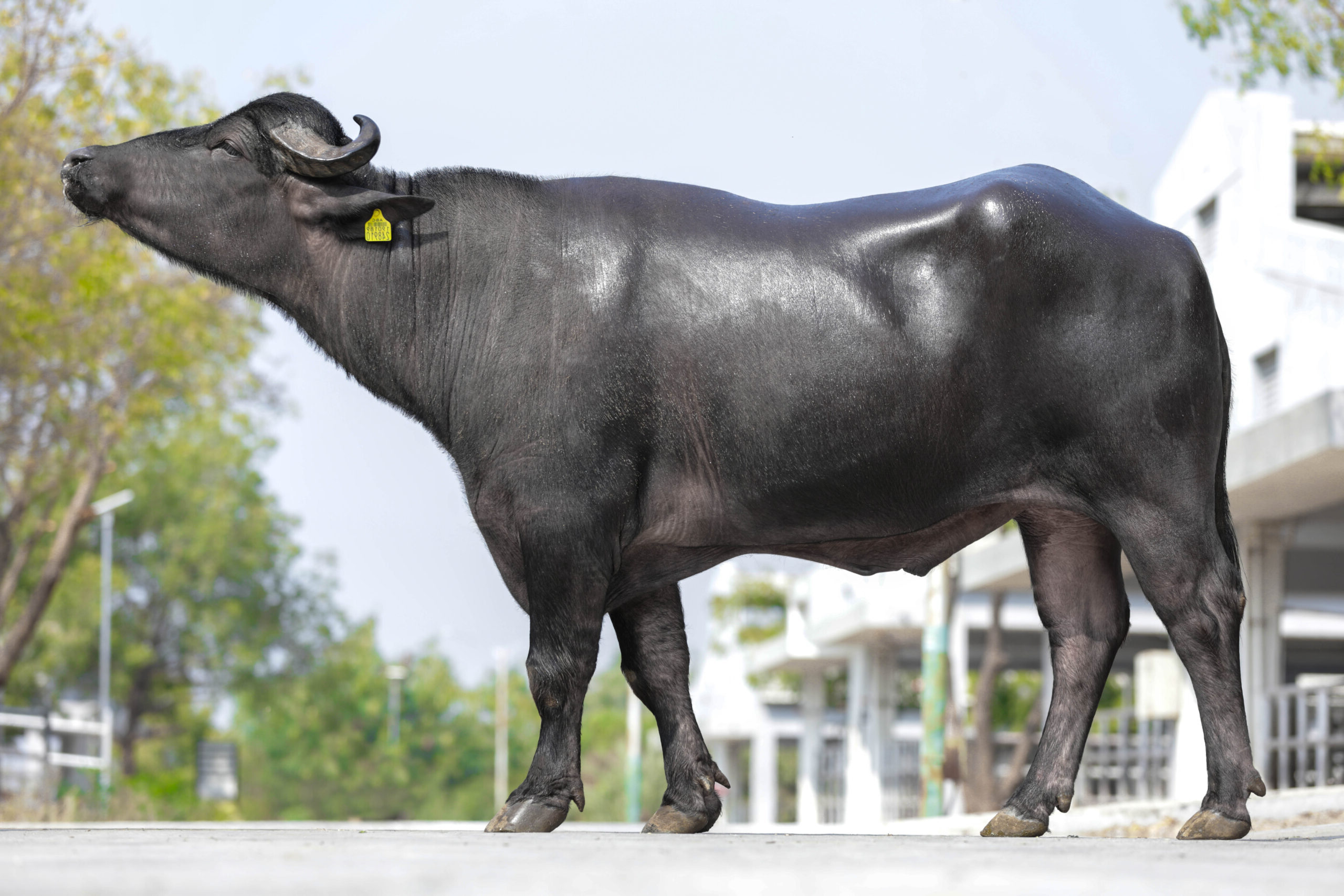 MR-50422