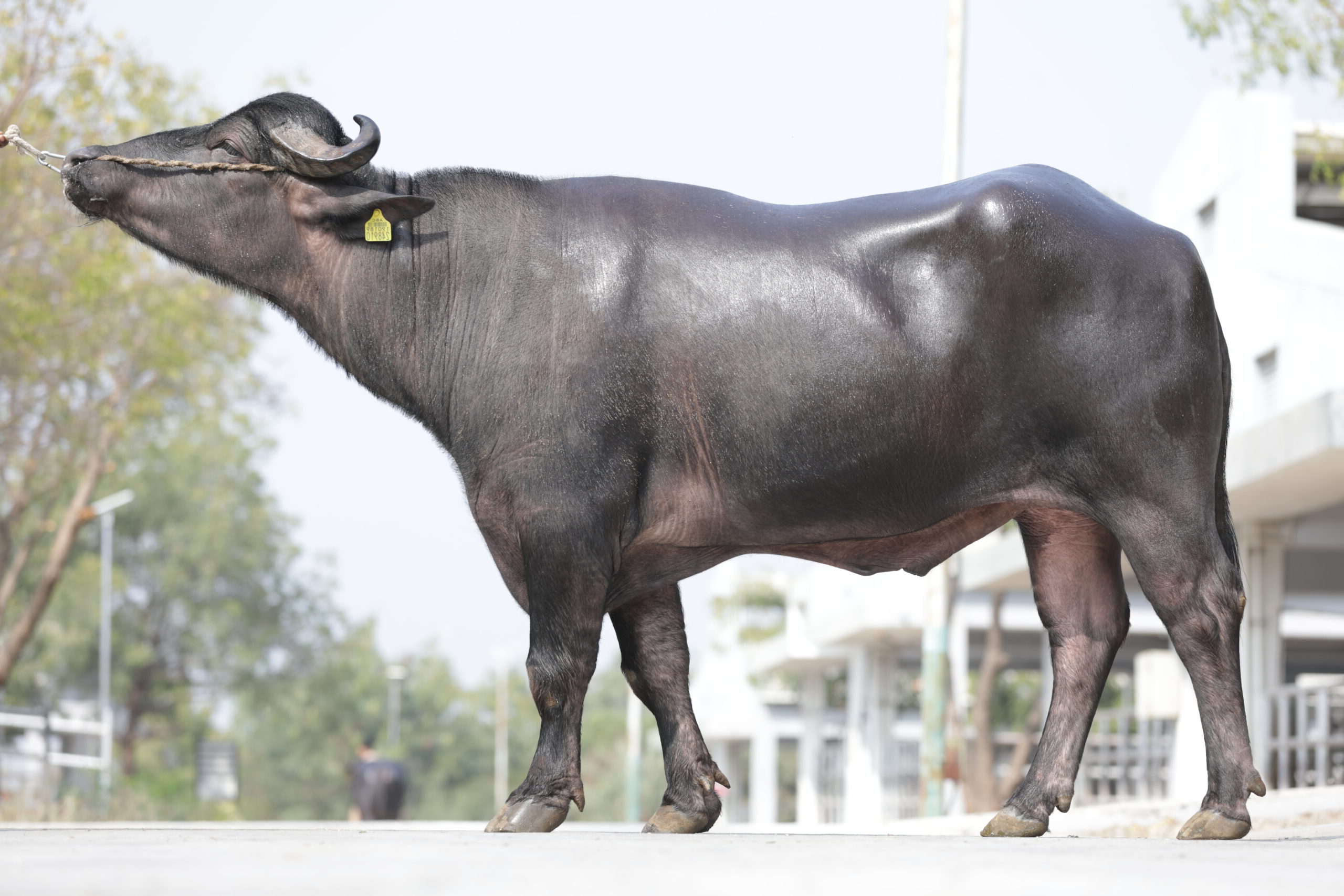 MR-50422